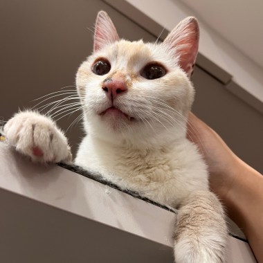 不知道要叫什麼名字