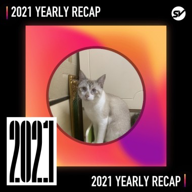 2021 個人年度精選之最