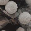 隨便聽聽