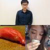 我的歌單