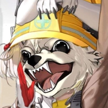 珂