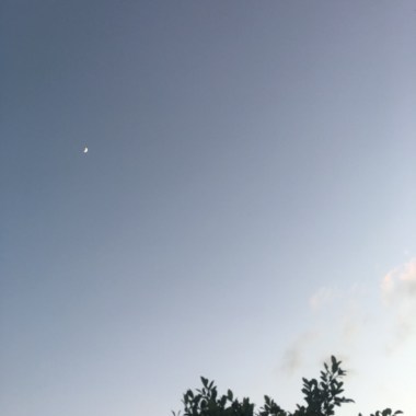 Hsu