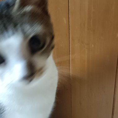 77
