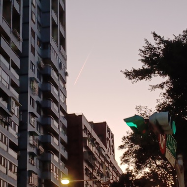 是你把我帶來這的