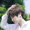 叶子