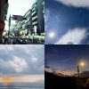 春日悬浮