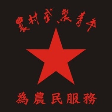 農村武裝青年