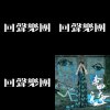 回聲樂團 ECHO