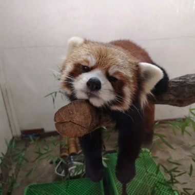 慢歌