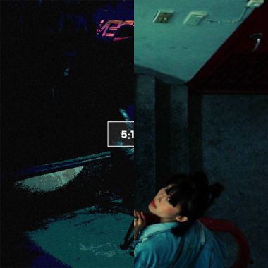 蔡蔡