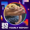2022 個人年度精選