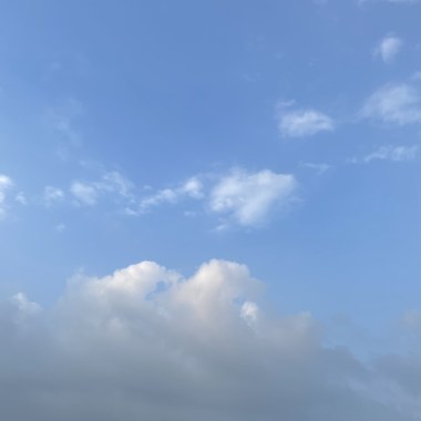 台仔便当