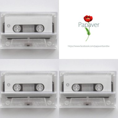 Papaver