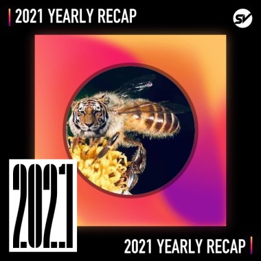 2021 個人年度精選之最
