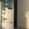 日差しの明るい午后