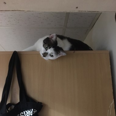 Sleep