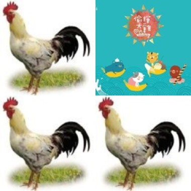 偷摸大雞