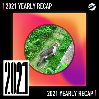 2021 個人年度精選之最