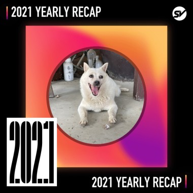 2021 個人年度精選之最