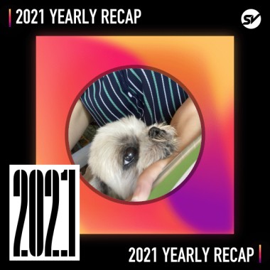 2021 個人年度精選之最