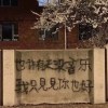 我們在平行時空不再哭了