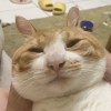 ?聽歌啦喵