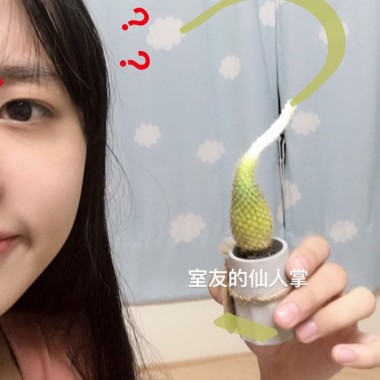 中文La(○´3｀)ﾉ