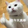 ᥬ?᭄