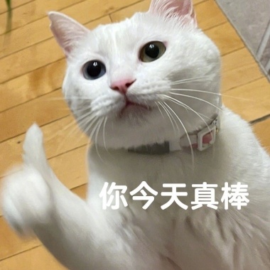 ᥬ?᭄