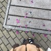 優雅的我啊(❁´ω`❁)