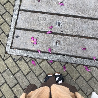 優雅的我啊(❁´ω`❁)