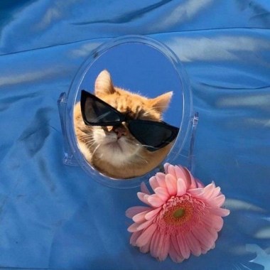 湖畔?