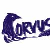 Corvus