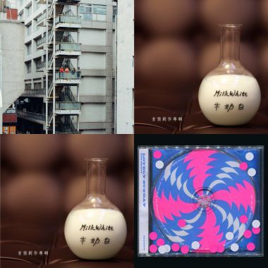 人類觀察員
