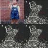 Weibird