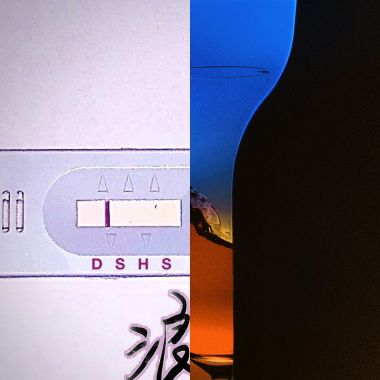 今天听什么