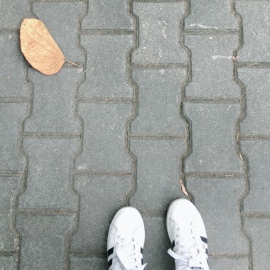 願你的時光靜好