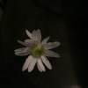 更多可能性