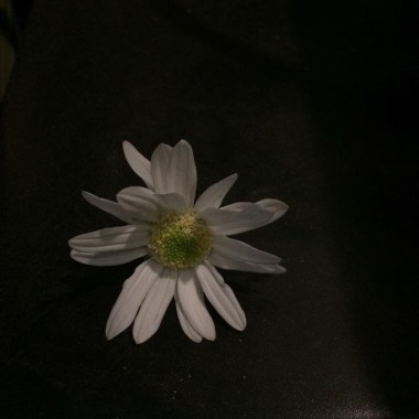更多可能性
