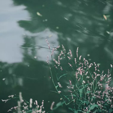 听雨歌楼上