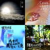 理想混蛋 Bestards