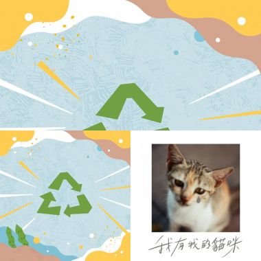 金魚腦專輯