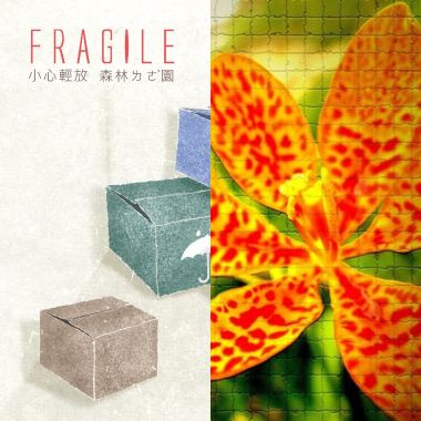 情歌