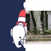 趣_纯音乐