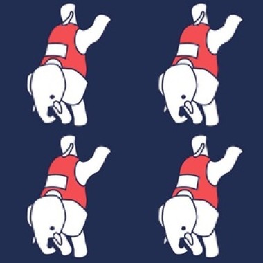 大象體操Elephant Gym