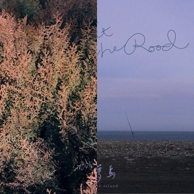 Wild dream