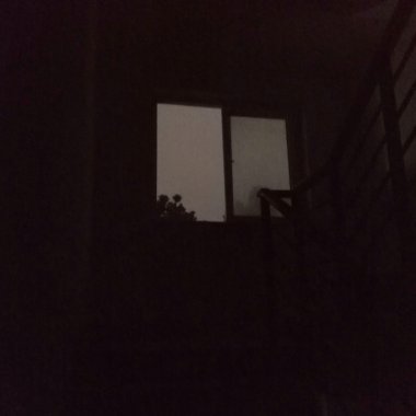 我的歌单