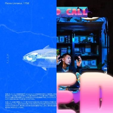 我的歌單