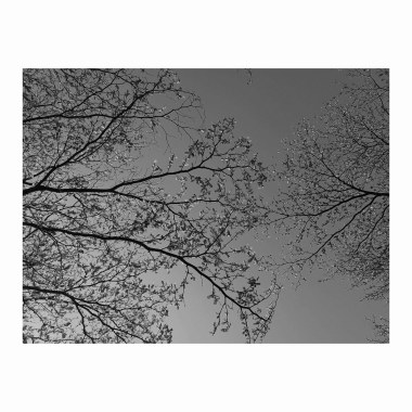 專輯demo