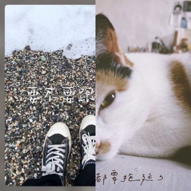 我要在燈音間聽